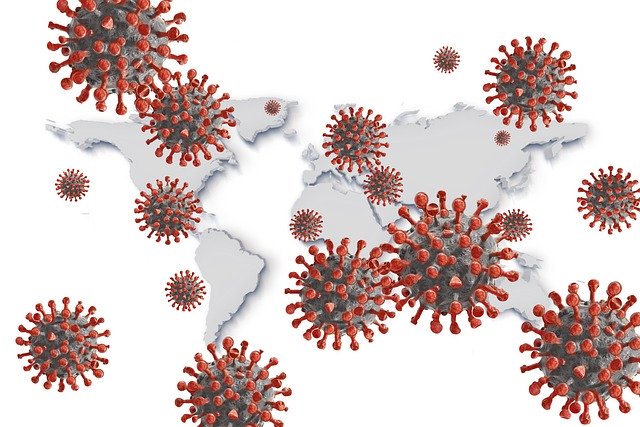 Corona Coronavirus Virus Covid  